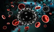 ВОЗ обеспокоено молниеносным распространением индийского штамма коронавируса