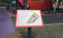 Поломанные игрушки и надписи на «лабиринте»: как выглядит инклюзивный парк в Днепре (ФОТО)