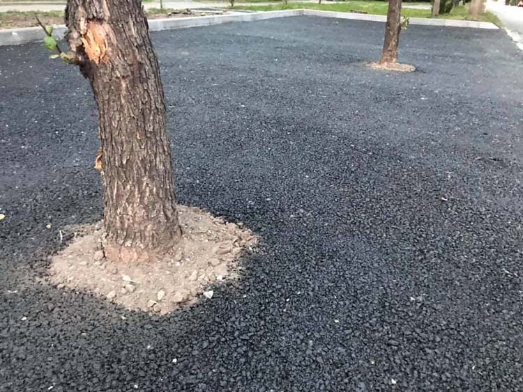 Новости Днепра про На очередной парковке в Днепре деревья закатали в асфальт