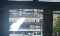 «Крепкий орешек»: в Киеве «белка-альпинист» по стене забралась на шестой этаж