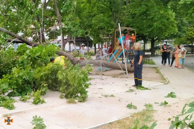 Новости Днепра про В Днепре 20-метровый клен упал на детскую площадку
