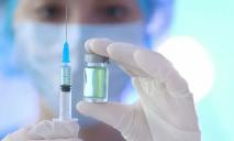 В ЕС не пускают привитых вакциной Covishiel: какие вакцины разрешены
