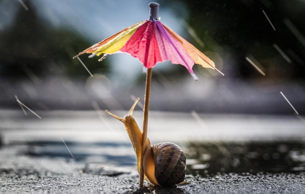 Новости Днепра про В Днепре ожидается дождь с грозой: погода на 27 июня