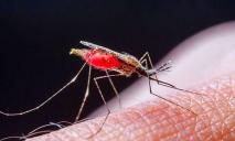 Украине грозит вспышка малярии из-за погоды