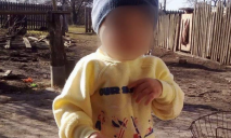 Двухлетний Миша, которого изрезал ножом отчим, умер в больнице