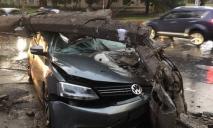 Опора рухнула на авто: в Кривом Роге машина слетела в столб