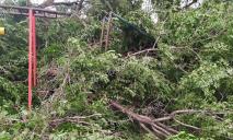 Дети остались без качелей: во время бури в Днепре попадали деревья