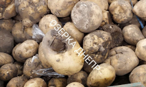 Днепрянам под шумок «втюхивают» гнилой картофель