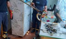 Метровая змея под Днепром выгнала из кухни хозяйку дома