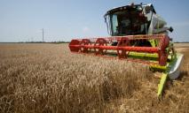 На Днепропетровщине собрали лучший за последние годы урожай ранних зерновых