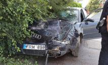 Жесткое ДТП в Днепре: Audi в кустах, микроавтобус перевернулся (ФОТО)