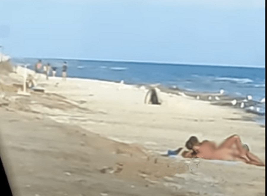 Спасатели Девушки На Пляже Порно Видео