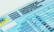 Нарушителей ПДД станет больше: в Украине разрешили получить водительские права онлайн