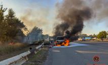 На Полтавском шоссе вспыхнуло Renault: огонь перебросился на траву