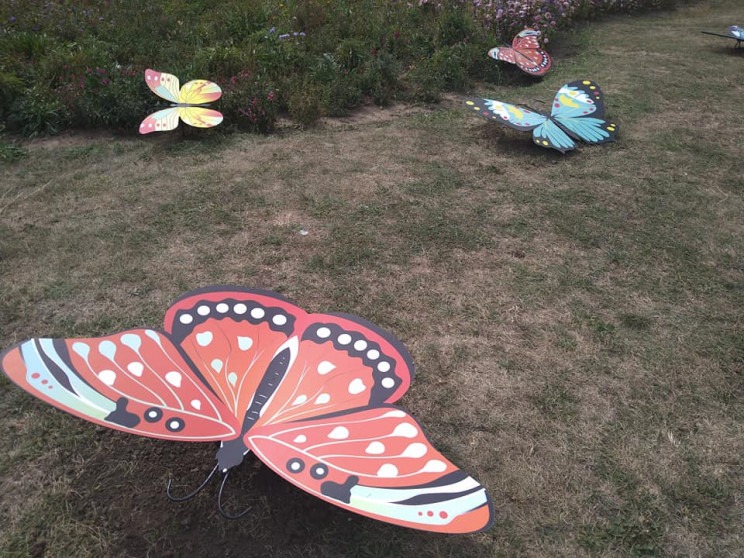 Новости Днепра про В городе на Днепропетровщине поселились гигантские бабочки (ФОТО)
