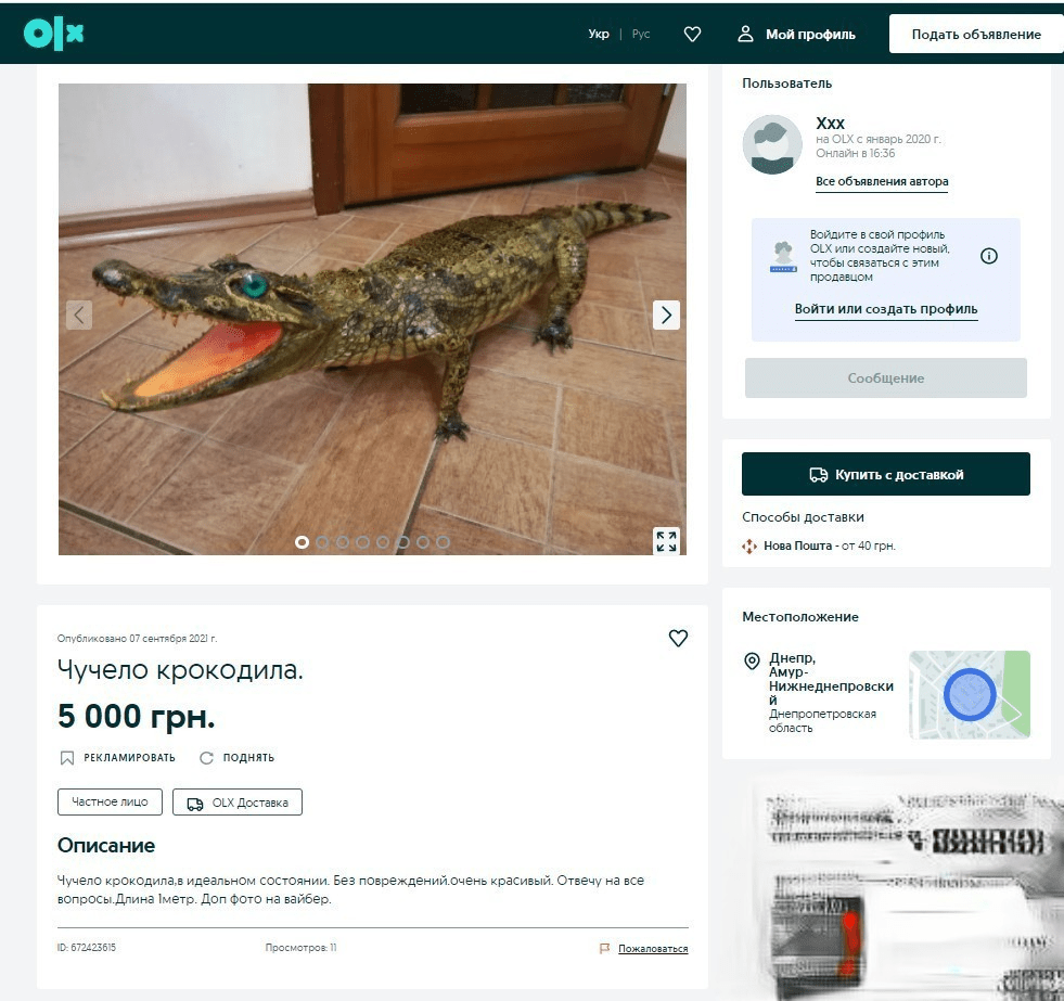 Новости Днепра про Живой конь и мертвый крокодил: что и за сколько продают днепряне на OLX