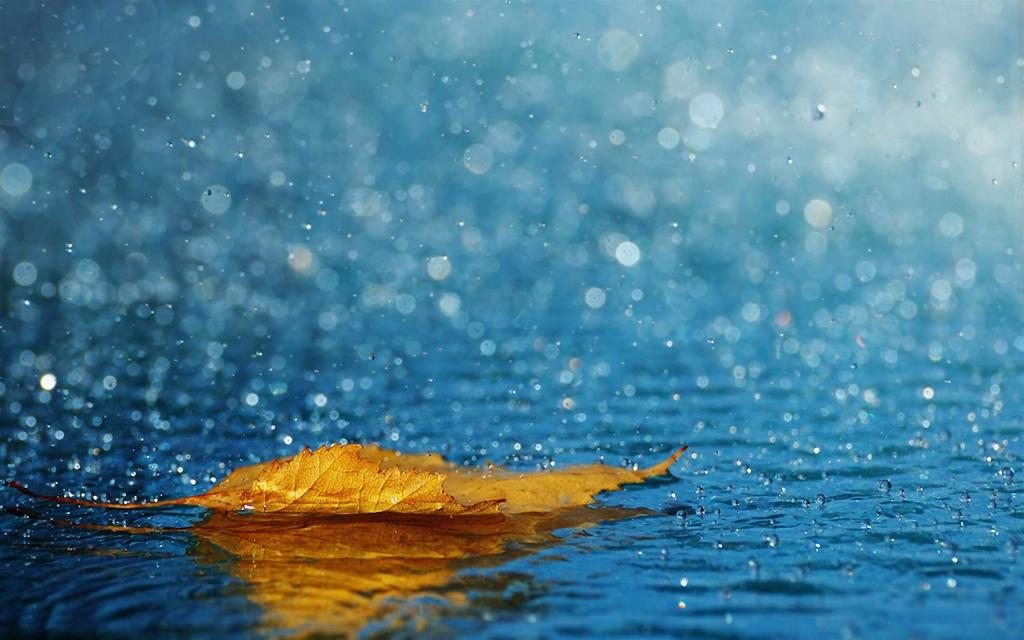 Новости Днепра про Погода в Днепре в четверг, 23 сентября: будет пасмурно и дождливо