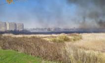 Весь город в дыму: на Харьковщине масштабный пожар