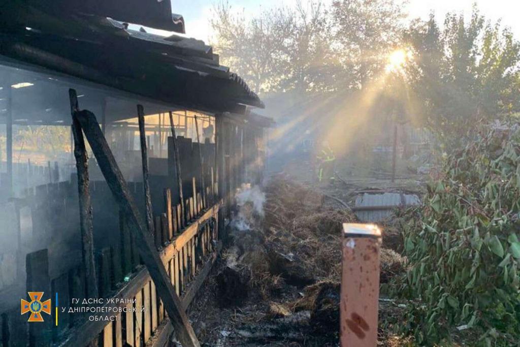 Новости Днепра про В Подгородном во время пожара заживо сгорели 10 свиней (ФОТО)