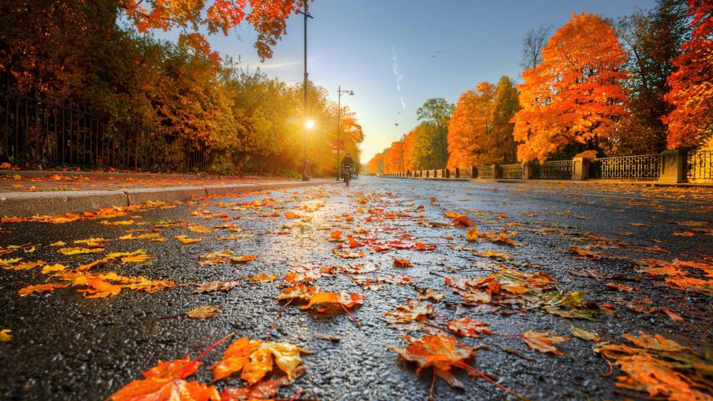 Новости Днепра про Золотая осень: сегодня днепрян ждет хорошая погода