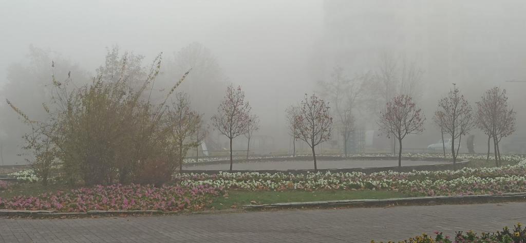 Новости Днепра про Красиво, но страшно: в Днепре не видно дороги из-за тумана (ФОТО)