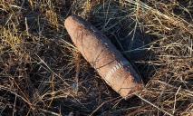 Взрыв на Днепропетровщине: грибник наткнулся на снаряд