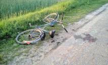 На Днепропетровщине велосипедист попал под колеса автомобиля