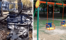 На 4-летнюю девочку, которая каталась на качелях, рухнуло дерево (ФОТО)