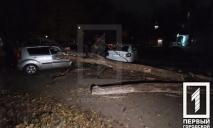 Дерево рухнуло сразу на 4 авто: в Кривом Роге пострадал водитель