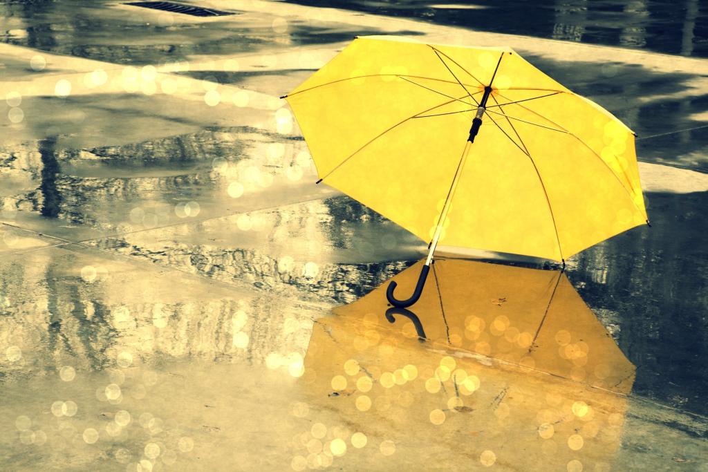 Новости Днепра про Погода в Днепре во вторник, 9 ноября: пасмурно и небольшой дождь