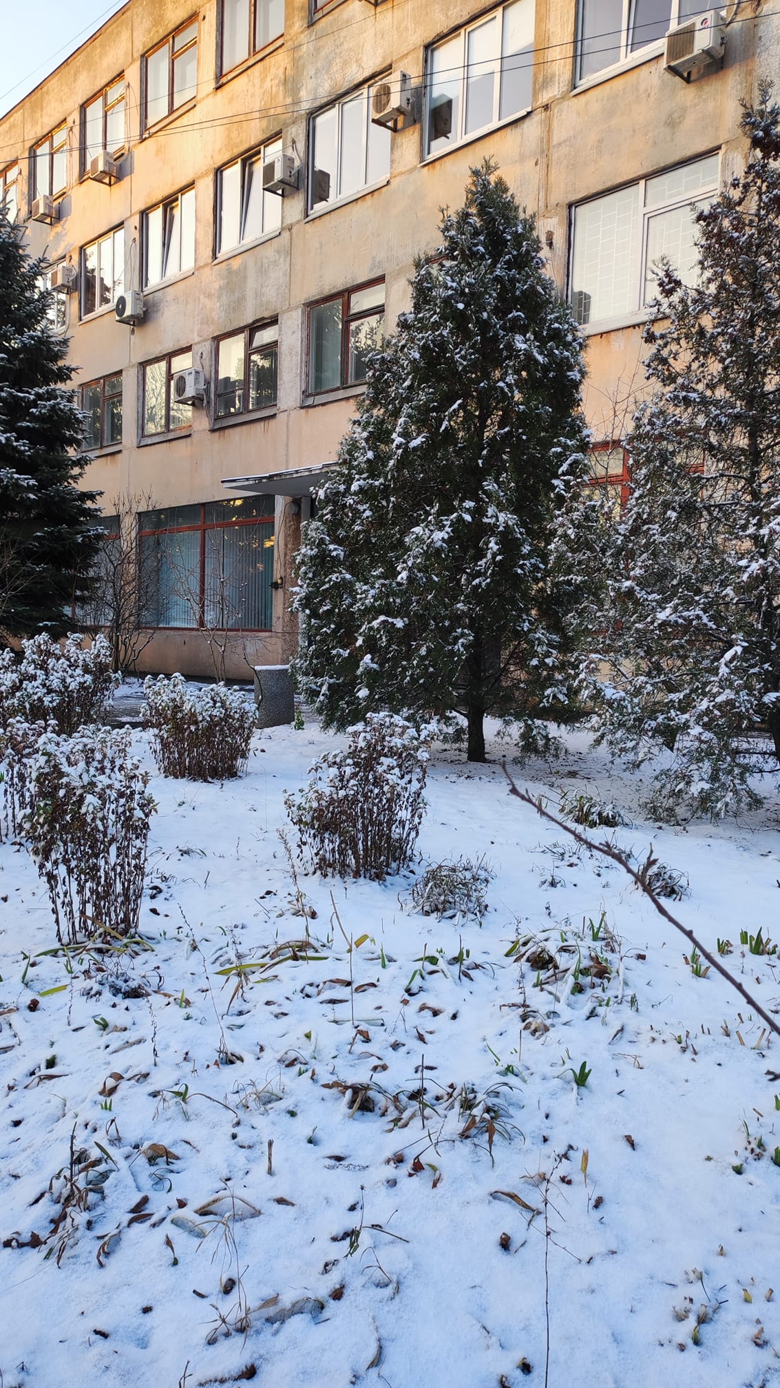 Новости Днепра про На Днепропетровщине выпал первый снег: какую погоду стоит ждать днепрянам
