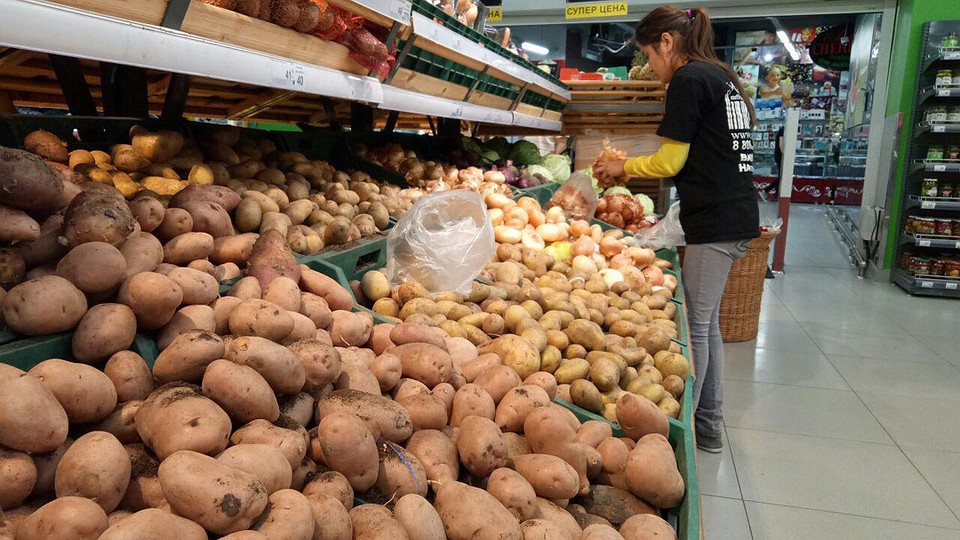 Новости Днепра про Днепряне вынуждены покупать импортный картофель: куда делся отечественный