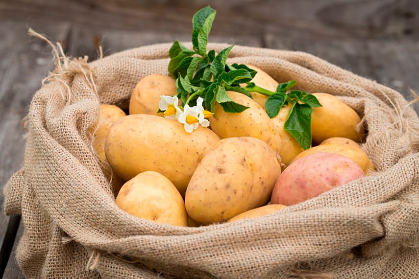 Новости Днепра про Днепряне вынуждены покупать импортный картофель: куда делся отечественный