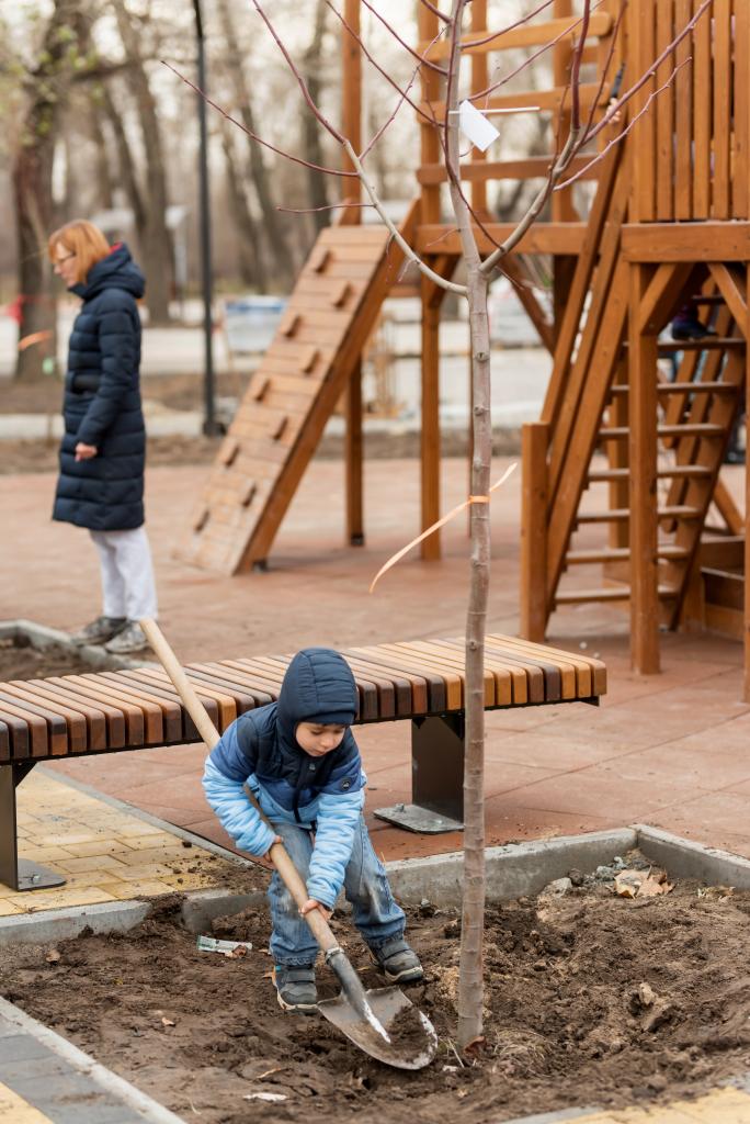 Новости Днепра про Депутат Кисилевский с жителями Северного высадили деревья в новом сквере на Липовой