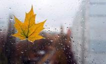 Погода в Днепре в субботу, 27 ноября: пасмурно и дождливо