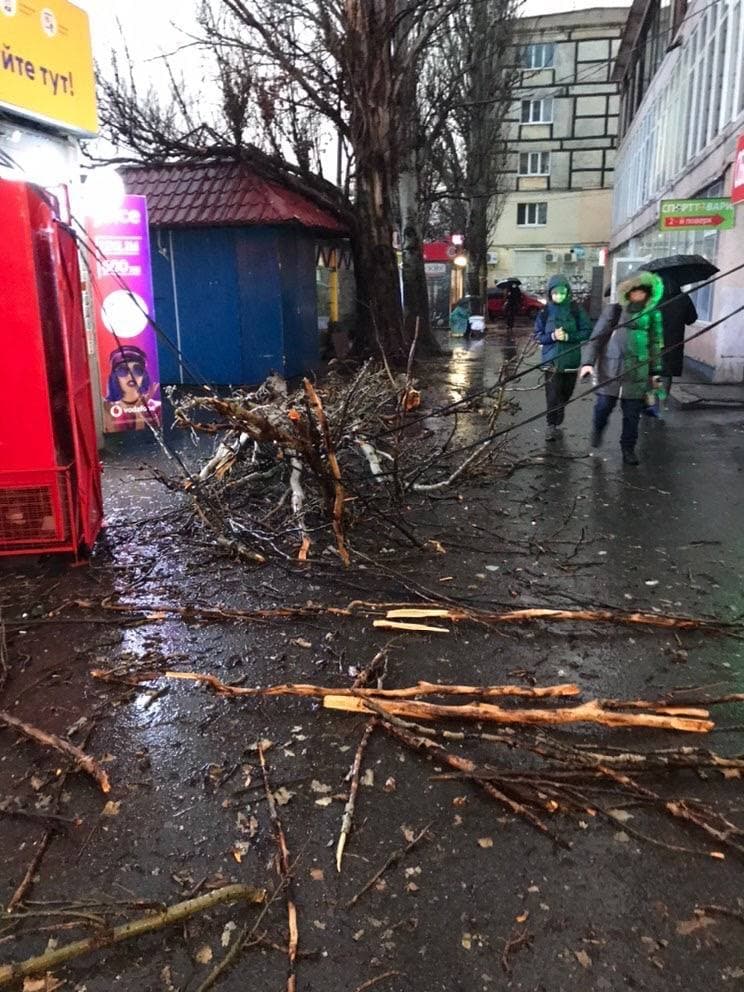 Новости Днепра про В Днепре из-за сильного ветра ветки упали на провода и повалили их на тротуар