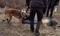На Днепропетровщине нашли обглоданный собаками труп мужчины