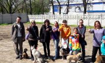 В Днепре на Тополе организуют новогоднюю вечеринку для собак