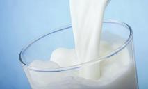 Украинское молоко – одно из самых дорогих в Европе: почему растет цена на «молочку»