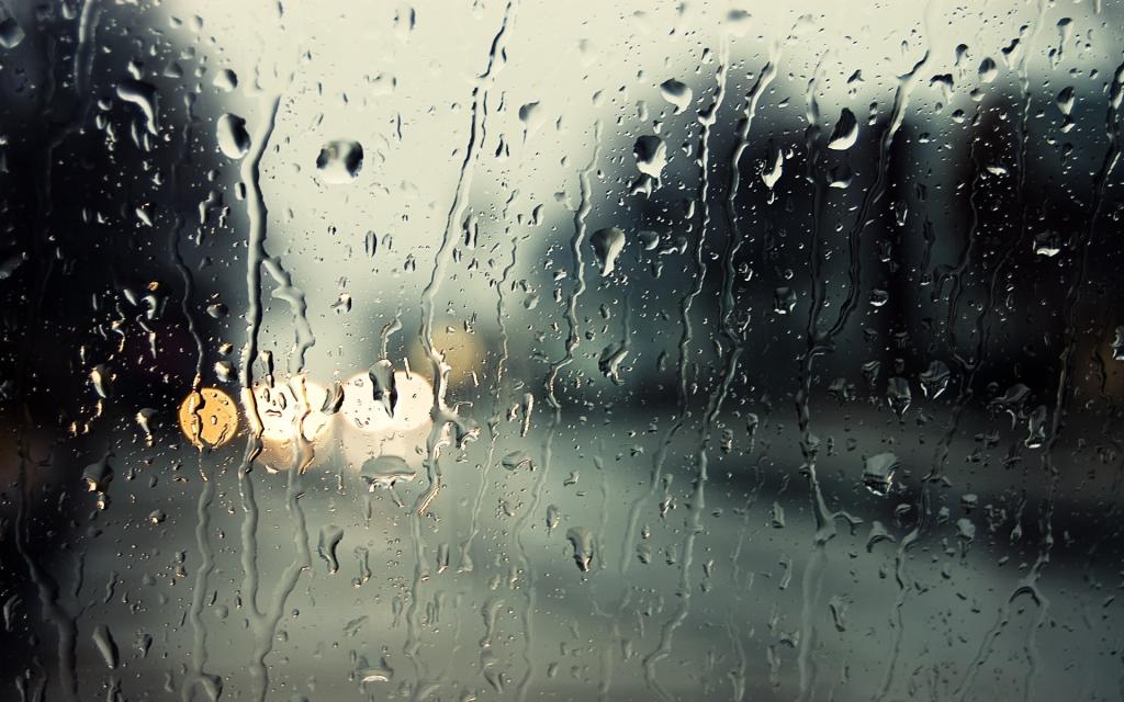 Новости Днепра про Погода в Днепре во вторник, 7 декабря: облачно и дождливо