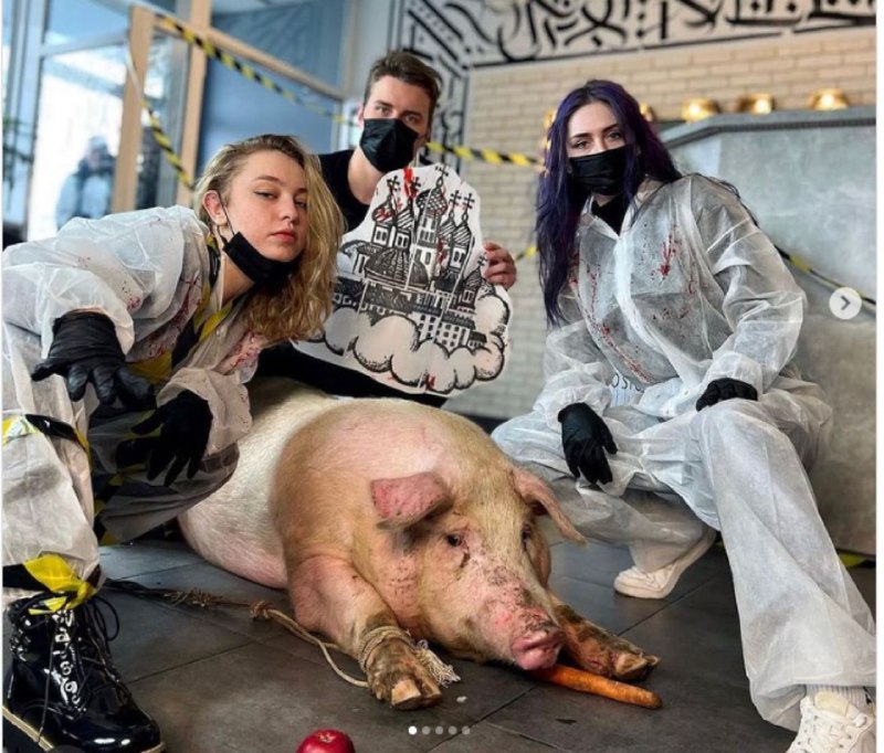 Новости Днепра про Хотели установить рекорд: в Киеве татуировщики набили огромное тату живой свинье