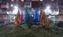 В Днепре появился свой «дом Маккалистеров»: весь двор сияет новогодними огнями