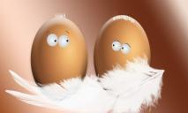 Очередное подорожание к Новому году: теперь выросли цены на яйца