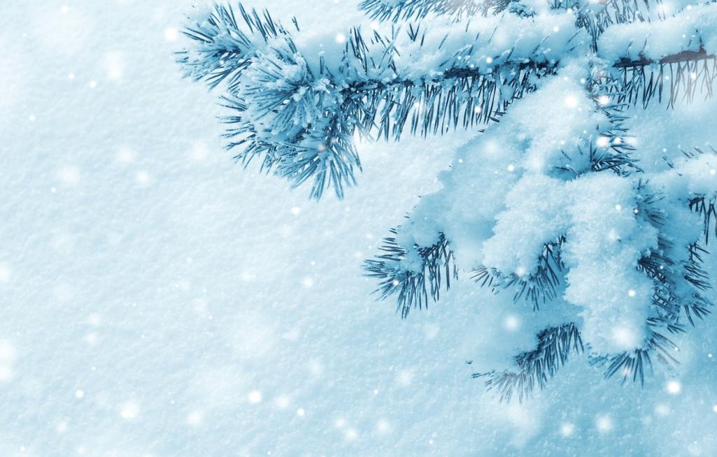 Новости Днепра про Прямо к Новому году: сегодня в Днепре будет идти мелкий снег