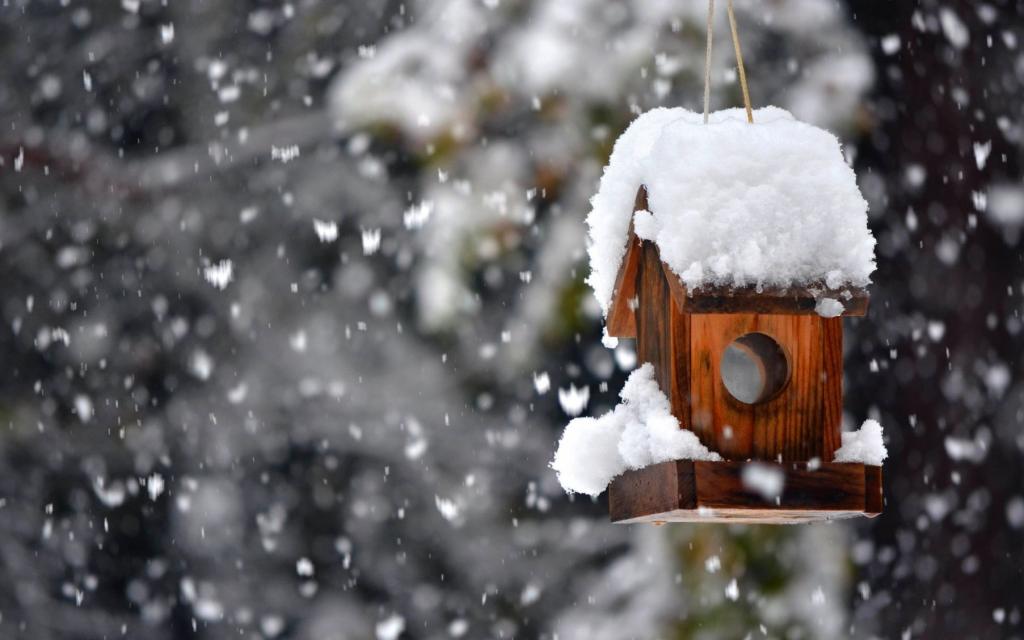 Новости Днепра про Погода на 26 декабря: в Днепре будет облачно, ожидается снег