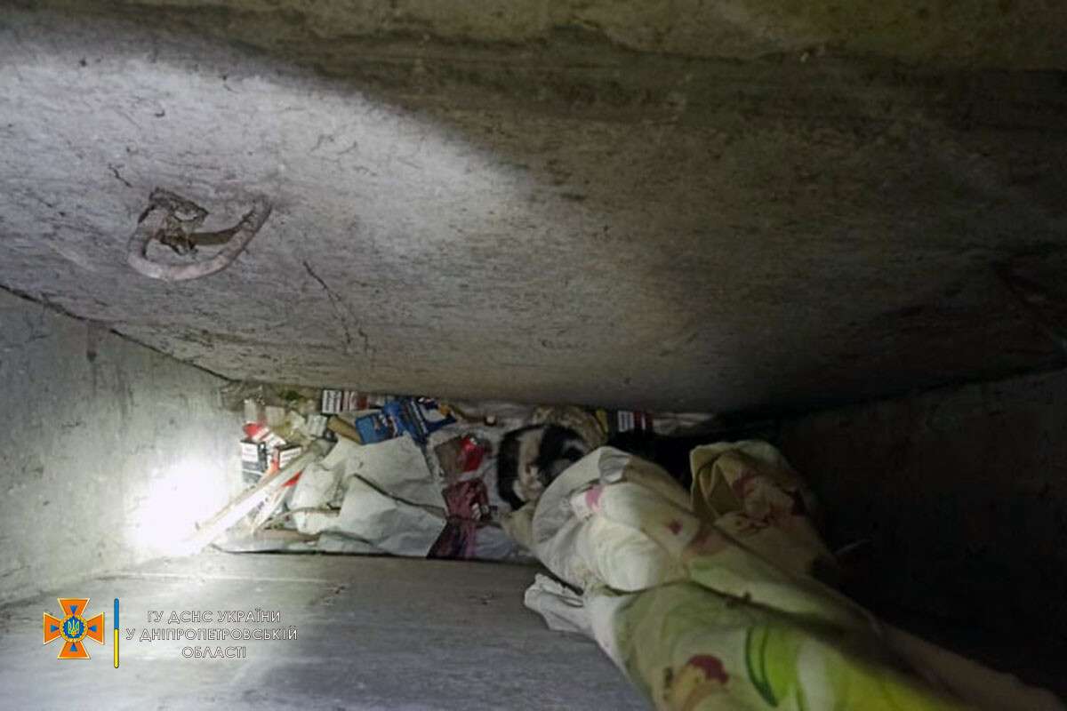 Новости Днепра про Громко мяукал и был напуган: в Днепре спасатели достали котенка из вентиляционной шахты многоэтажки