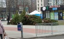 Открылся первый елочный базар: где в Днепре можно купить новогоднее дерево