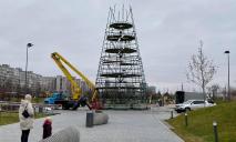 В Днепре в сквере Прибрежный начали устанавливать елку-гиганта