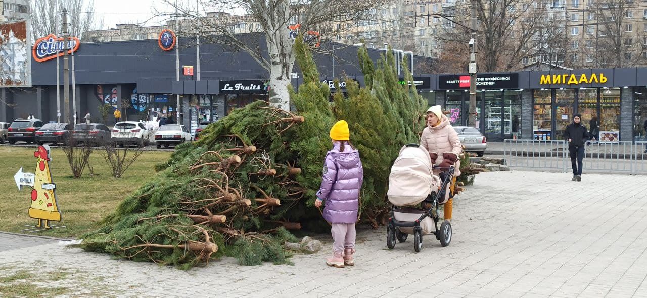 Новости Днепра про Открылся первый елочный базар: где в Днепре можно купить новогоднее дерево