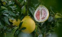 Вкусная экзотика: назван самый полезный фрукт из цитрусовых